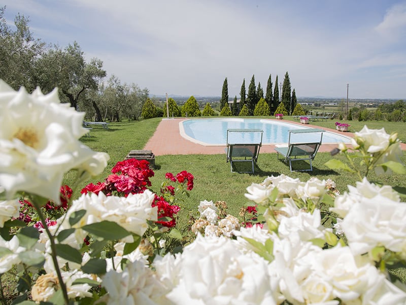 Agriturismo La Sosta di Annibale: come raggiungerci al Lago Trasimeno, in Umbria