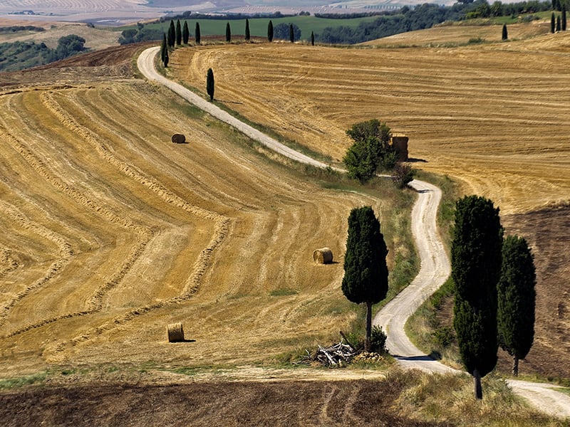 Sights in the surroundings of Cortona and Lake Trasimeno | farmhouse La Sosta di Annibale