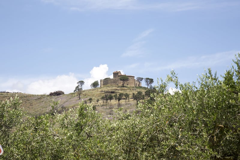 Agriturismo con piscina e Azienda agricola tra Toscana e Umbria: produzione di extravergine d’oliva e vino