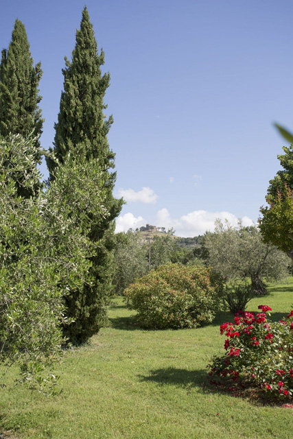 Photogallery – La Sosta di Annibale: farmhouse with swimming pool between Cortona and Lake Trasimeno