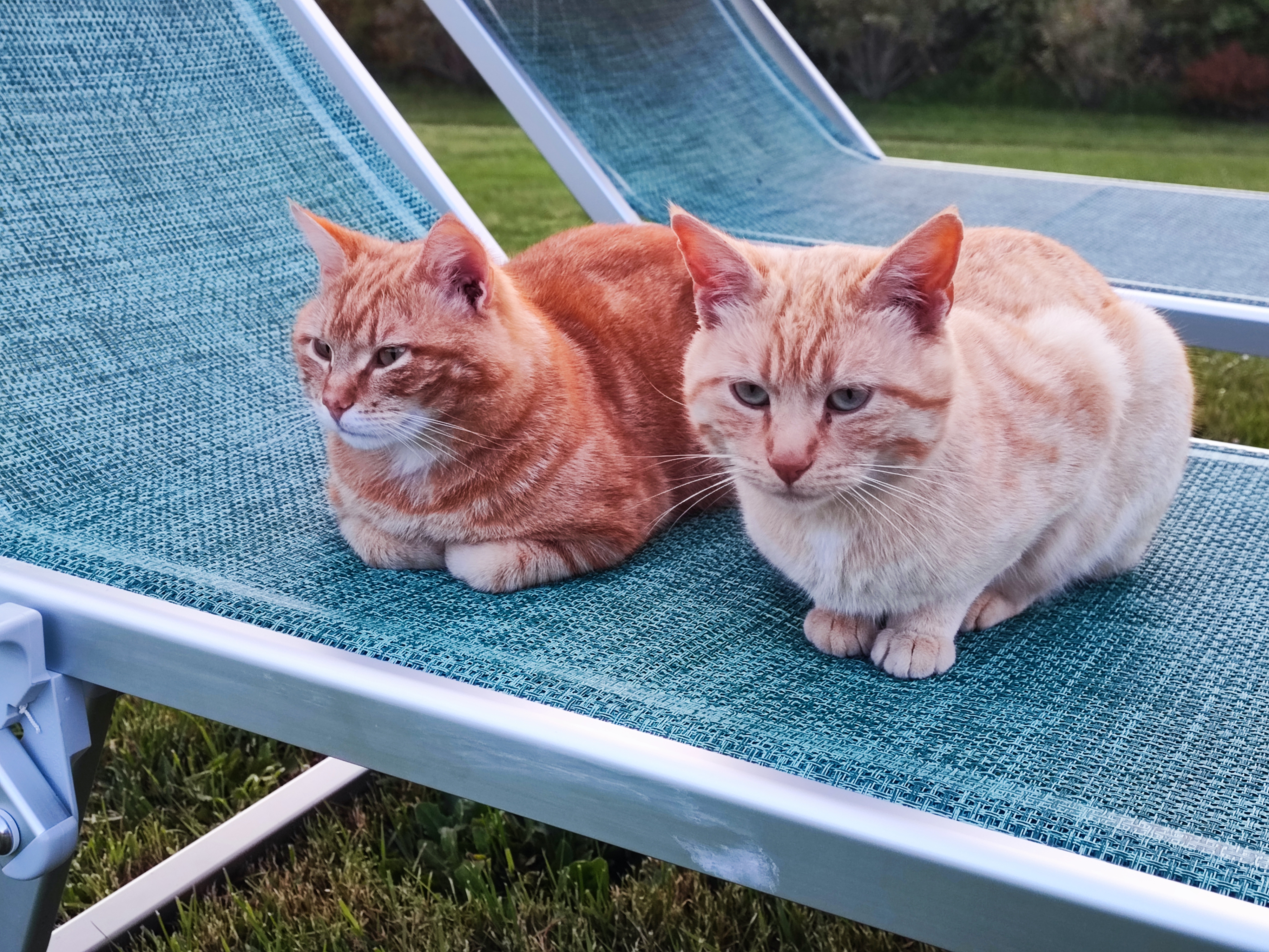Photogallery – La Sosta di Annibale: agriturismo con piscina tra Cortona e Lago Trasimeno