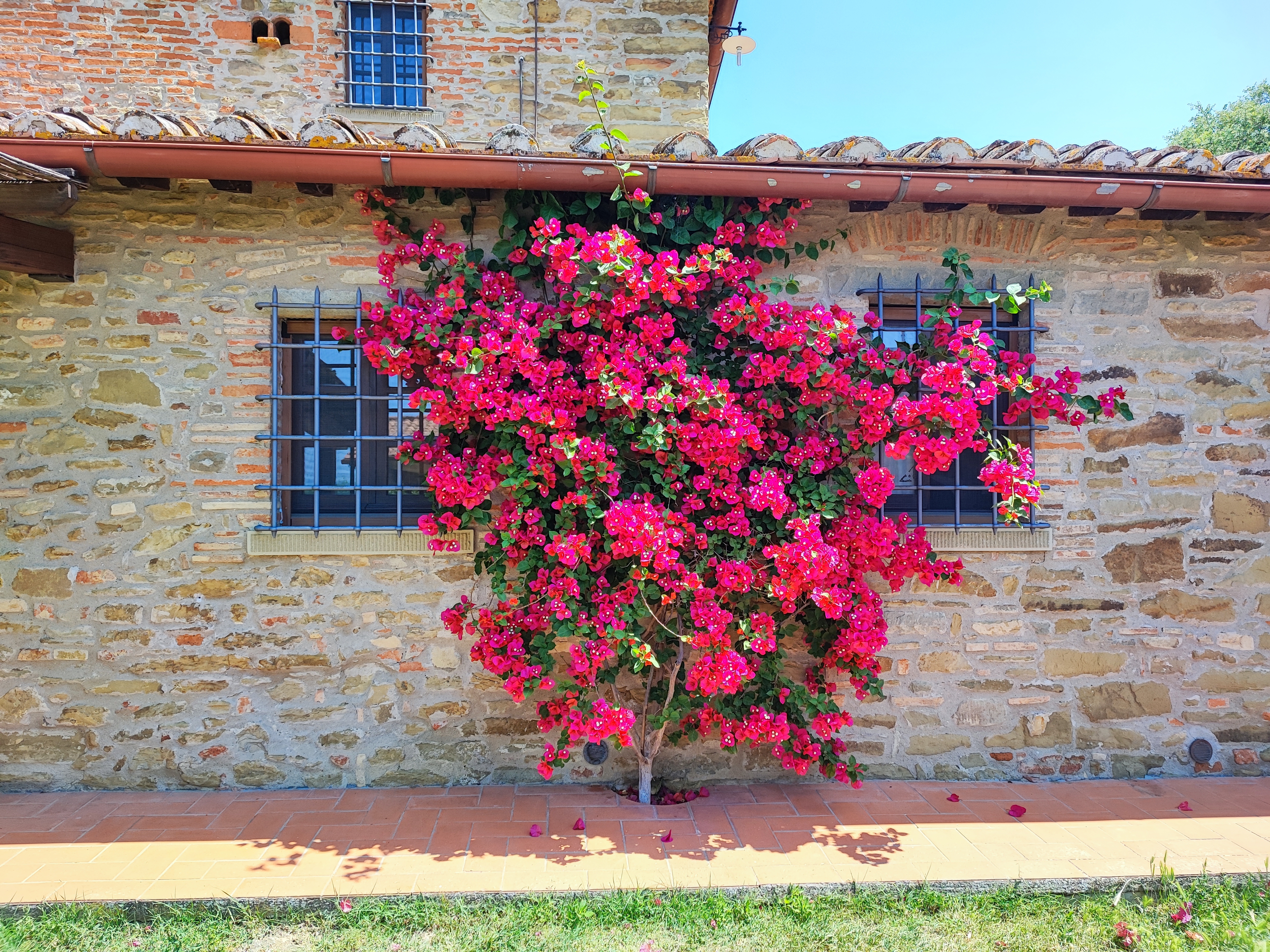 Photogallery – La Sosta di Annibale: agriturismo con piscina tra Cortona e Lago Trasimeno
