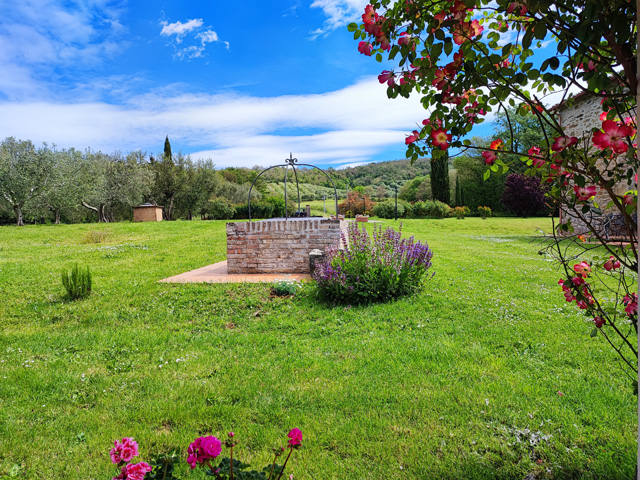 Photogallery – La Sosta di Annibale: farmhouse with swimming pool between Cortona and Lake Trasimeno