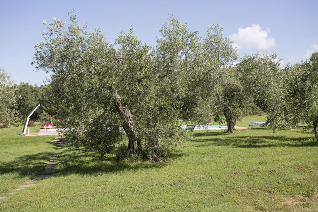 Photogallery – La Sosta di Annibale: farmhouse with swimming pool between Cortona and Lake Trasimeno