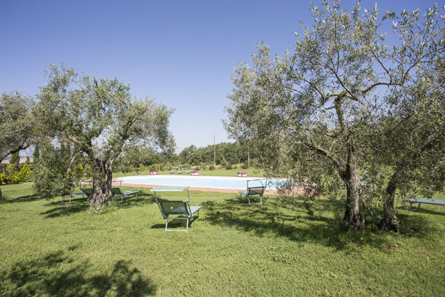 Photogallery – La Sosta di Annibale: farmhouse with swimming pool between Cortona and Lake Trasimeno