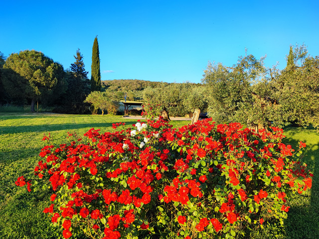 Photogallery – La Sosta di Annibale: farmhouse with swimming pool between Cortona and Lake Trasimeno